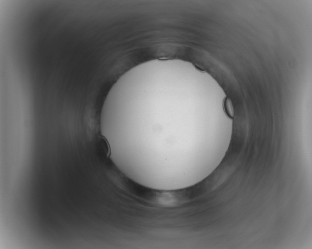 X0000102300091200808081553