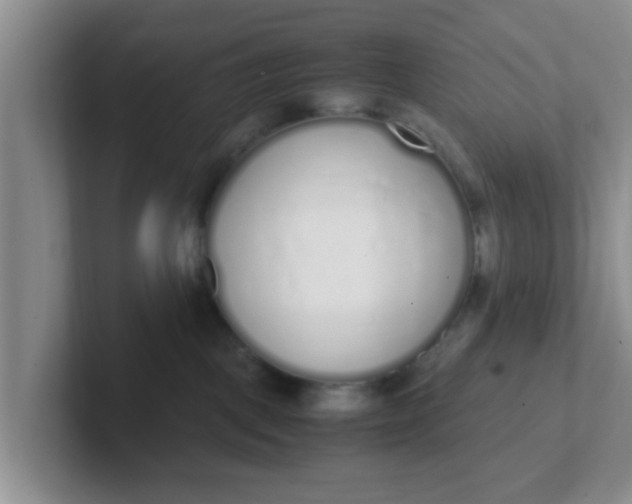 X0000102300093200808081553