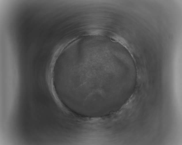 X0000102300097200808081553