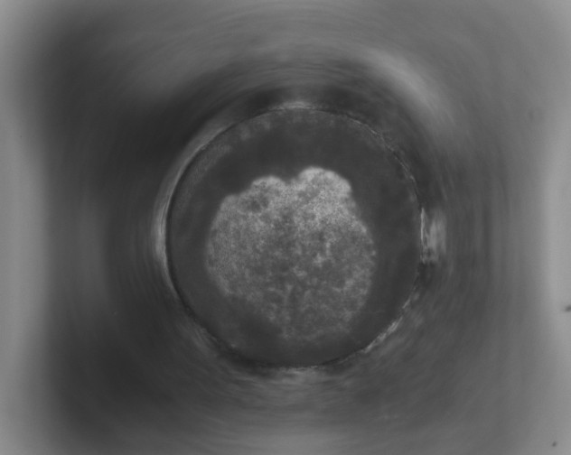 X0000102300099200808081553