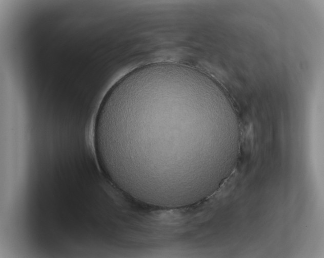 X0000102300100200808081553