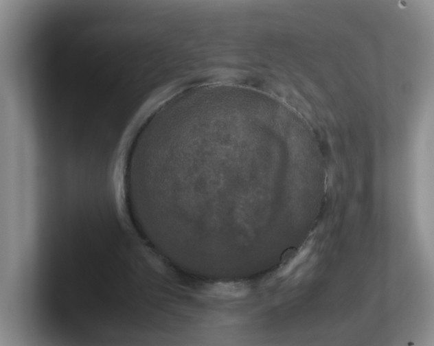 X0000102300101200808081553