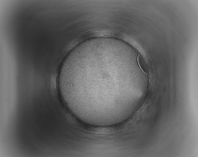 X0000102300105200808081553