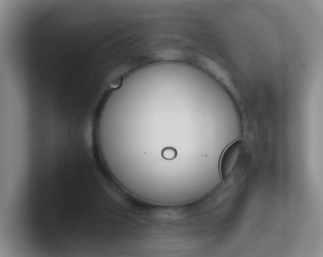 X0000102300106200808081553