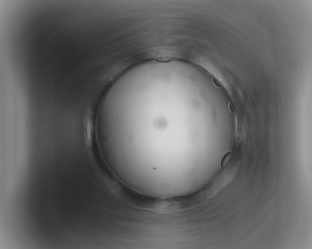X0000102300109200808081553