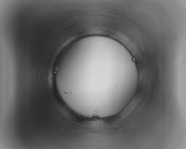 X0000102300112200808081552