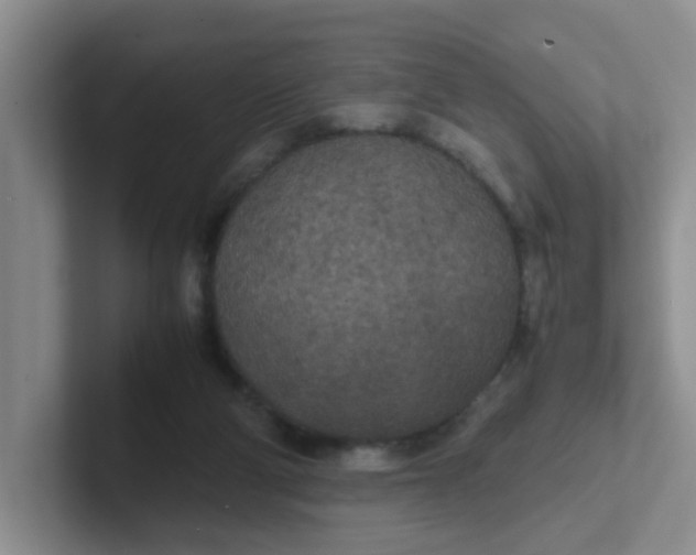 X0000102300114200808081552