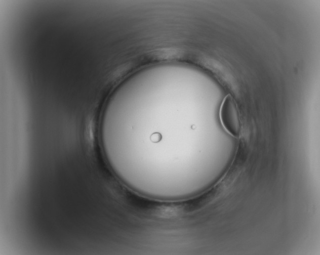 X0000102300115200808081552