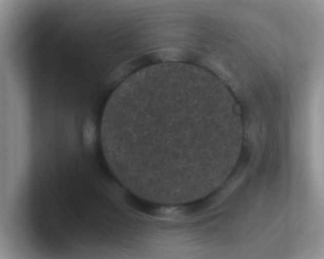 X0000102300117200808081552