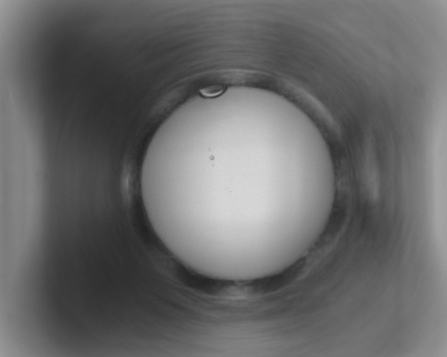 X0000102300119200808081552