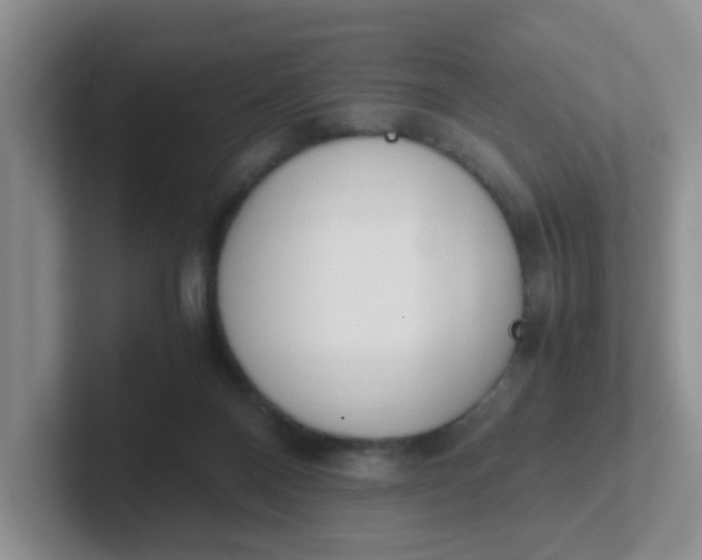 X0000102300120200808081552