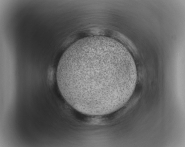 X0000102300121200808081552