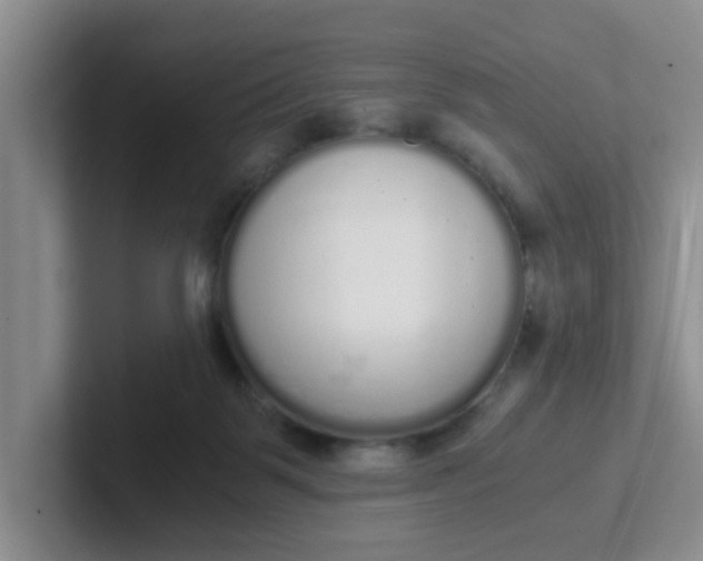 X0000102300123200808081552