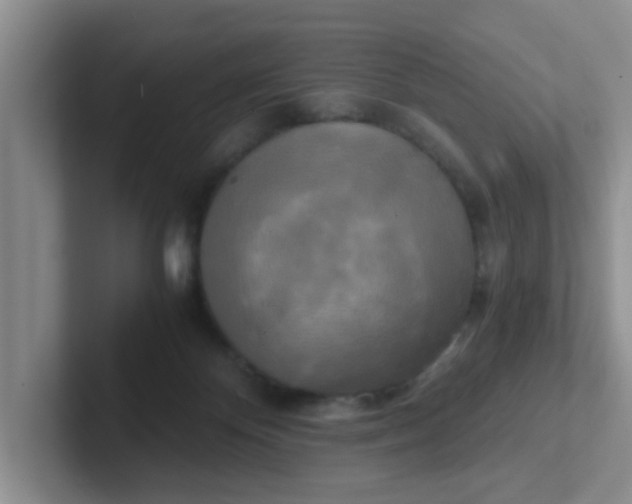 X0000102300124200808081552
