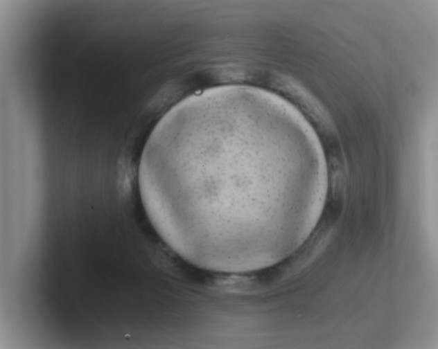 X0000102300125200808081552