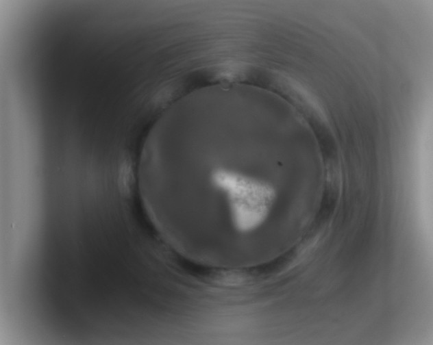 X0000102300127200808081552