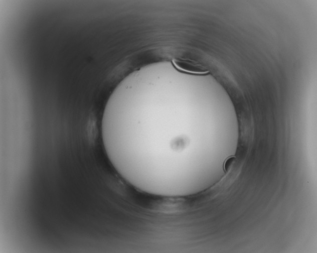 X0000102300128200808081552