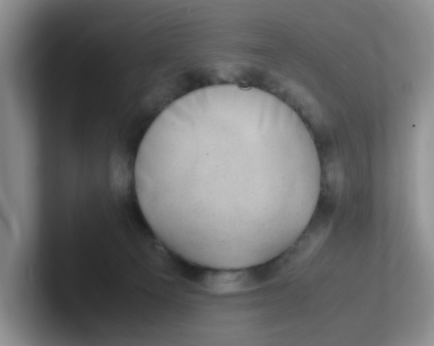 X0000102300129200808081552