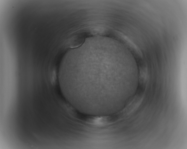 X0000102300130200808081552