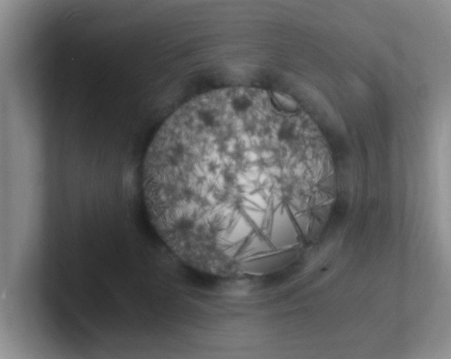 X0000102300131200808081552