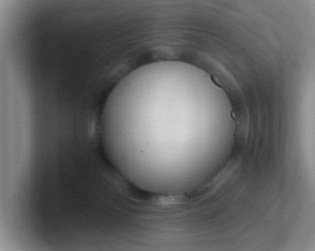 X0000102300134200808081552