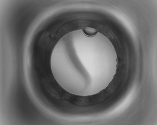 X0000102300143200808081552