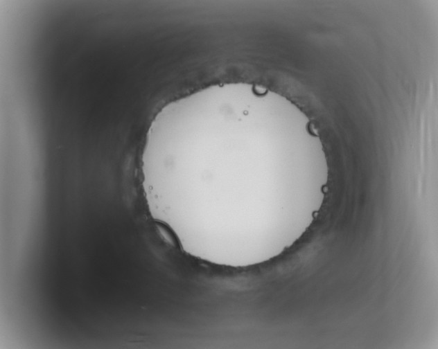 X0000102300144200808081552