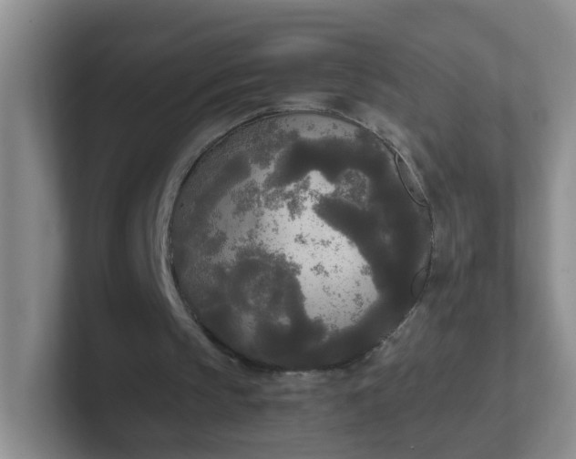 X0000102300145200808081551