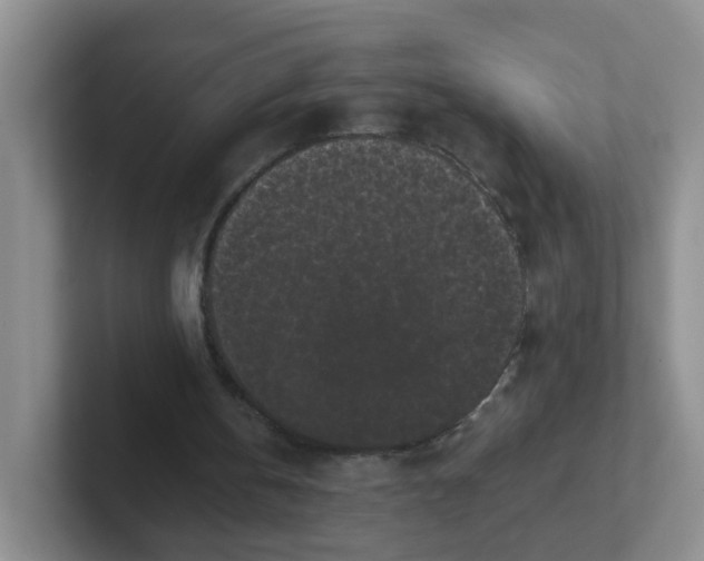 X0000102300146200808081551