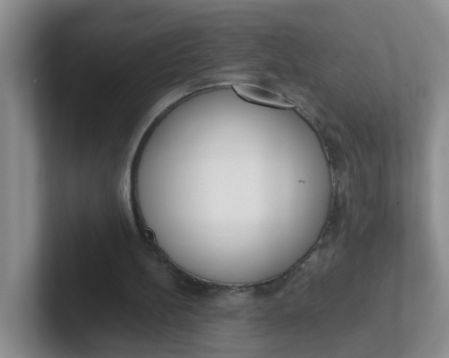 X0000102300148200808081551