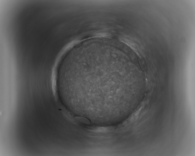 X0000102300149200808081551