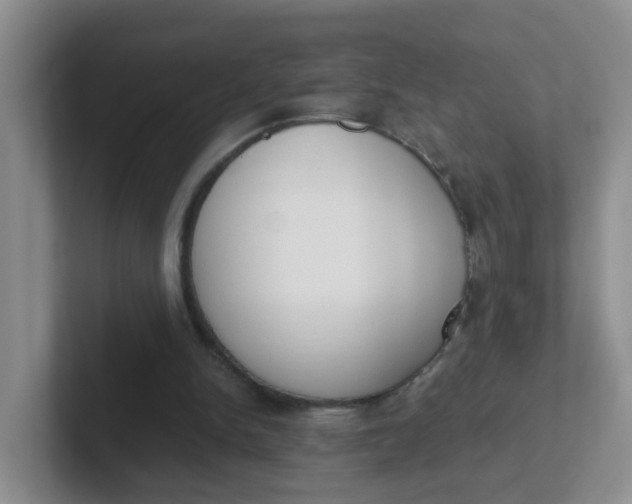 X0000102300150200808081552