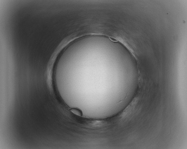 X0000102300151200808081552
