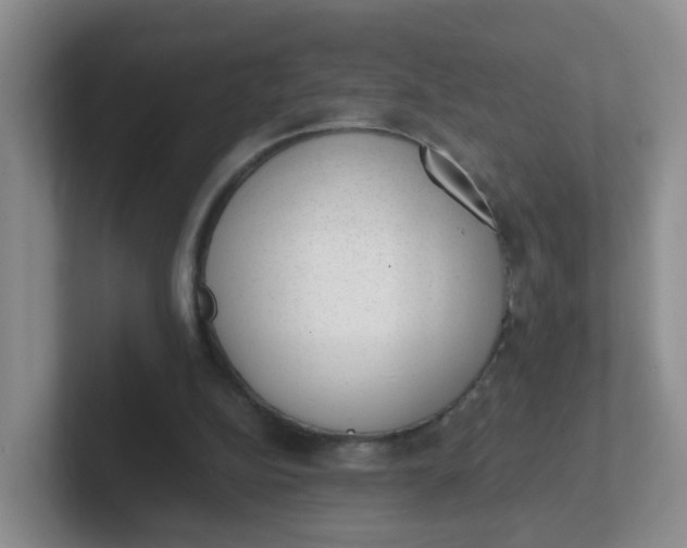 X0000102300152200808081552