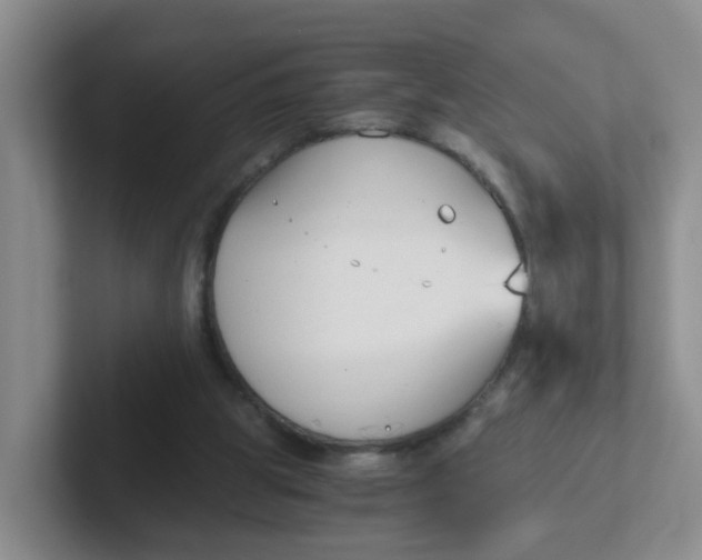X0000102300153200808081552