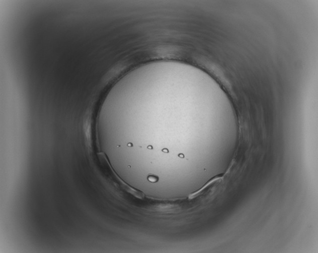 X0000102300154200808081552
