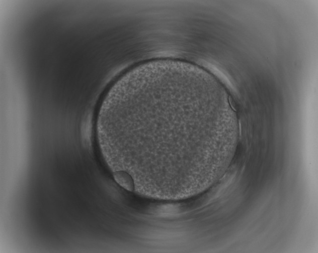 X0000102300156200808081552