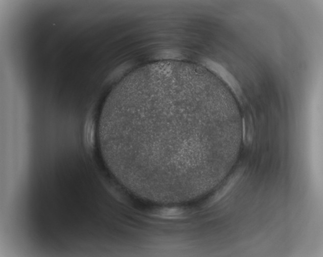 X0000102300157200808081552