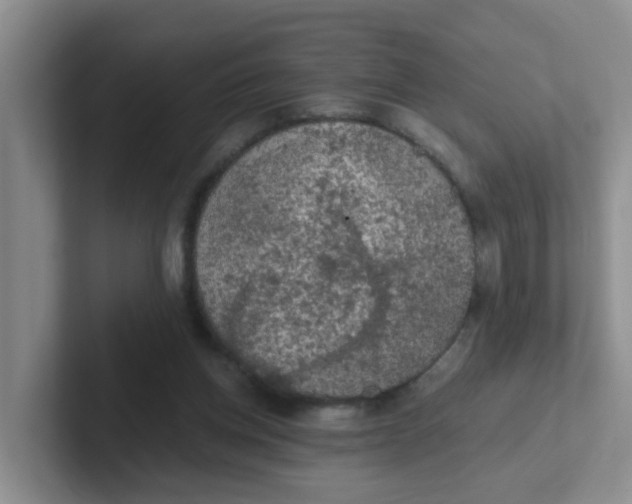 X0000102300158200808081552