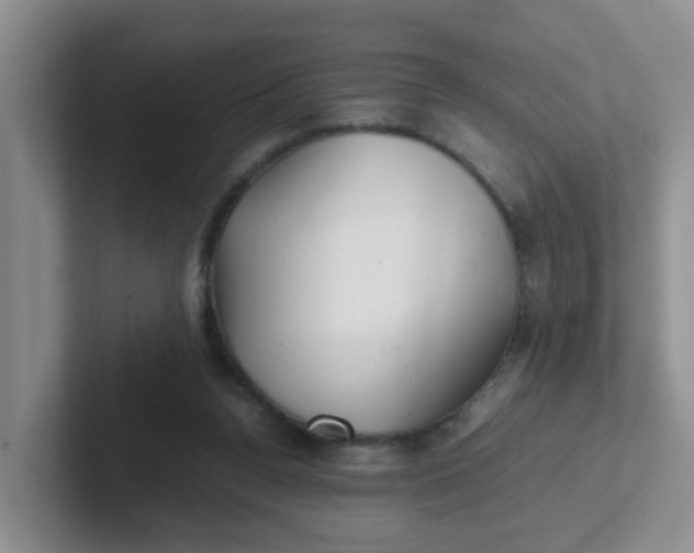 X0000102300160200808081552