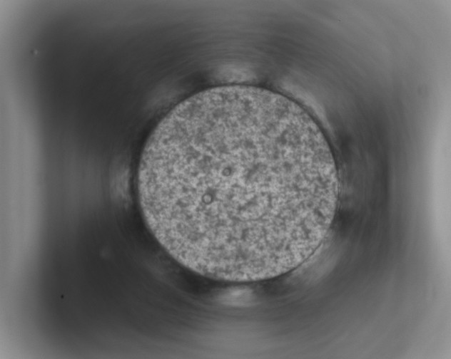 X0000102300162200808081552