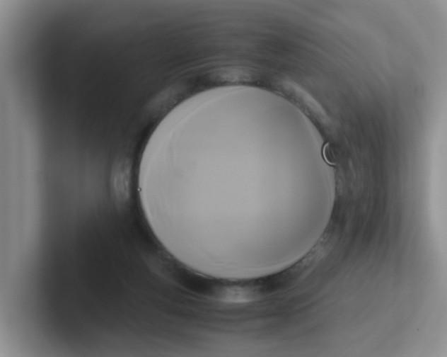 X0000102300163200808081552