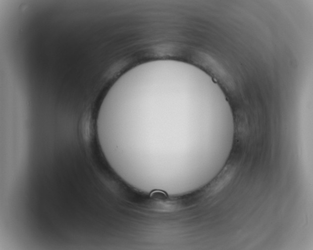 X0000102300164200808081552