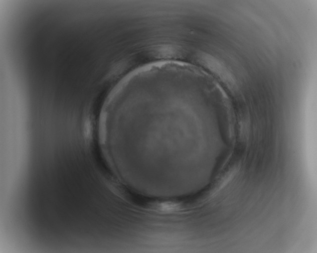 X0000102300165200808081552