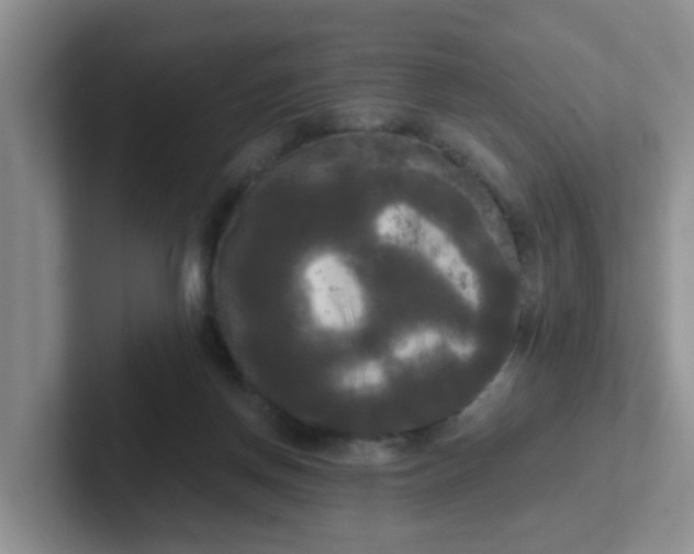 X0000102300166200808081552