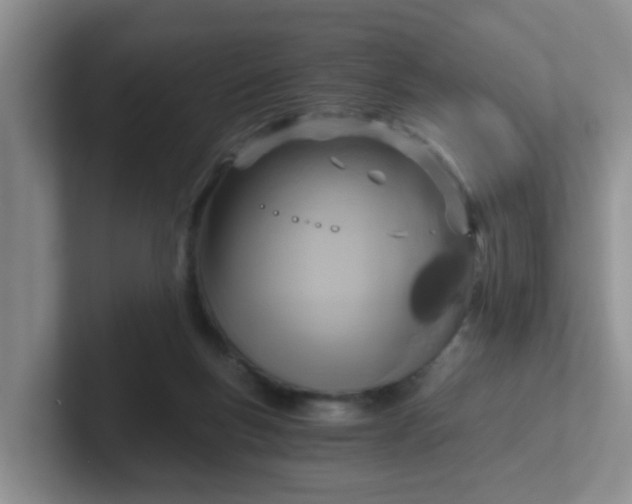 X0000102300167200808081552