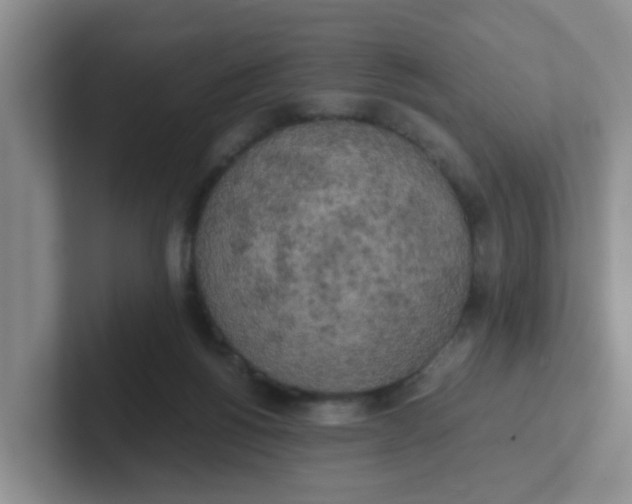 X0000102300168200808081552