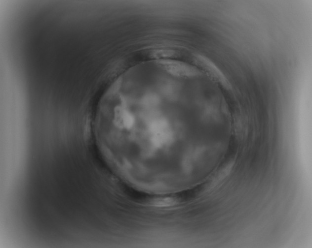 X0000102300169200808081552