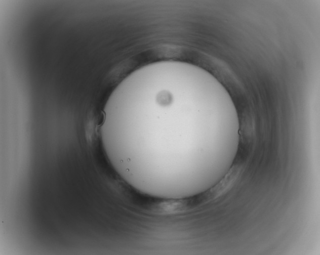 X0000102300172200808081552