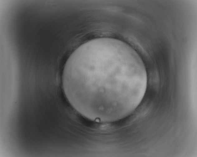 X0000102300173200808081552